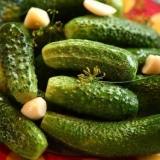 Brzi kiseli krastavci